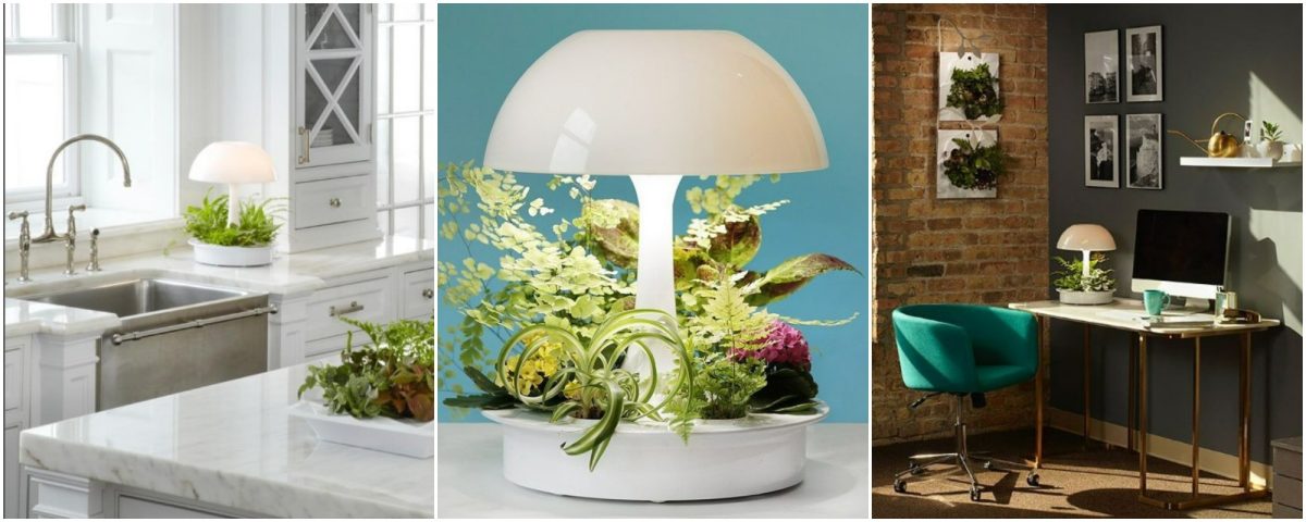 Galleria foto '5 Lampade che nascondono un segreto. Resterete a bocca aperta!' - foto 3