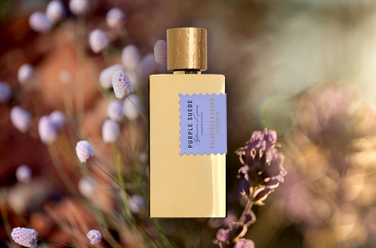 Galleria foto 'Profumi Autunnali: le 5 migliori novità della stagione da acquistare assolutamente' - foto 2