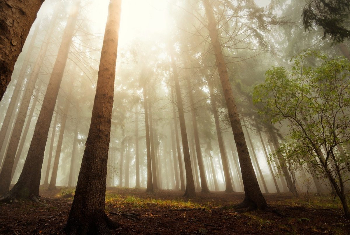 Galleria foto 'Escursioni Autunnali: Ecco 5 mete uniche in tutta Italia da non perdere assolutamente!' - foto 5