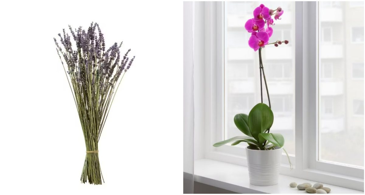 Galleria foto 'Come ricreare l’atmosfera di una Spa di lusso a Casa tua: 8 idee da copiare e acquisti fa fare!' - foto 3