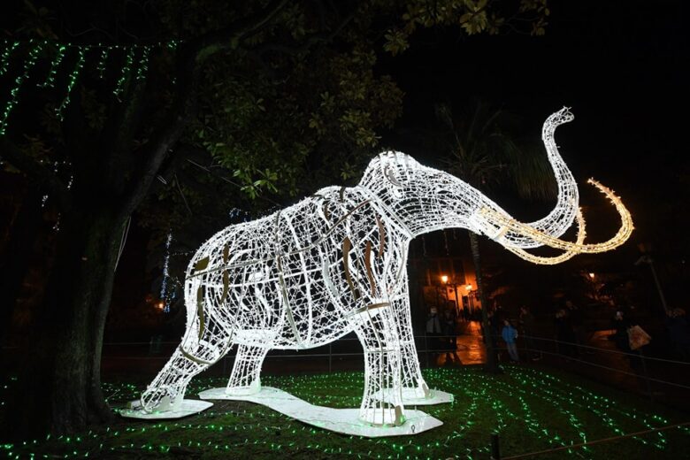 Salerno luminarie