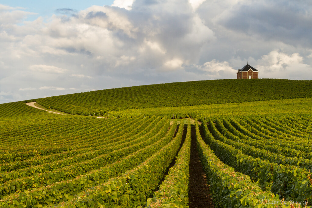 Galleria foto 'Tour dello Champagne: 5 città da visitare per gustare il raffinato vino francese' - foto 6