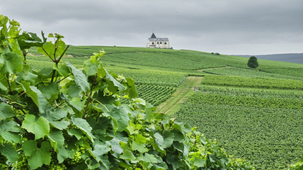 Tour dello Champagne: 5 città da visitare per gustare il raffinato vino francese