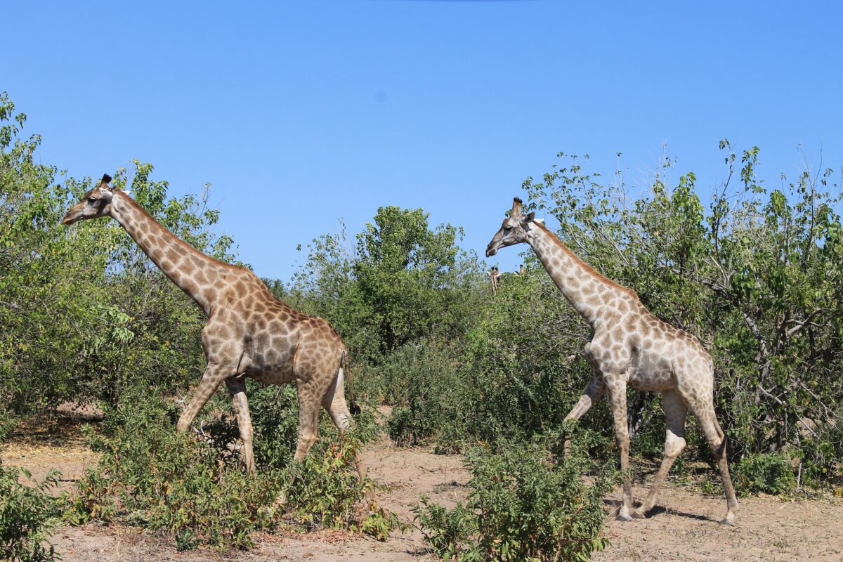 Galleria foto 'Best Destination 2023: la Top Ten delle mete da visitare nel nuovo anno!' - foto 5