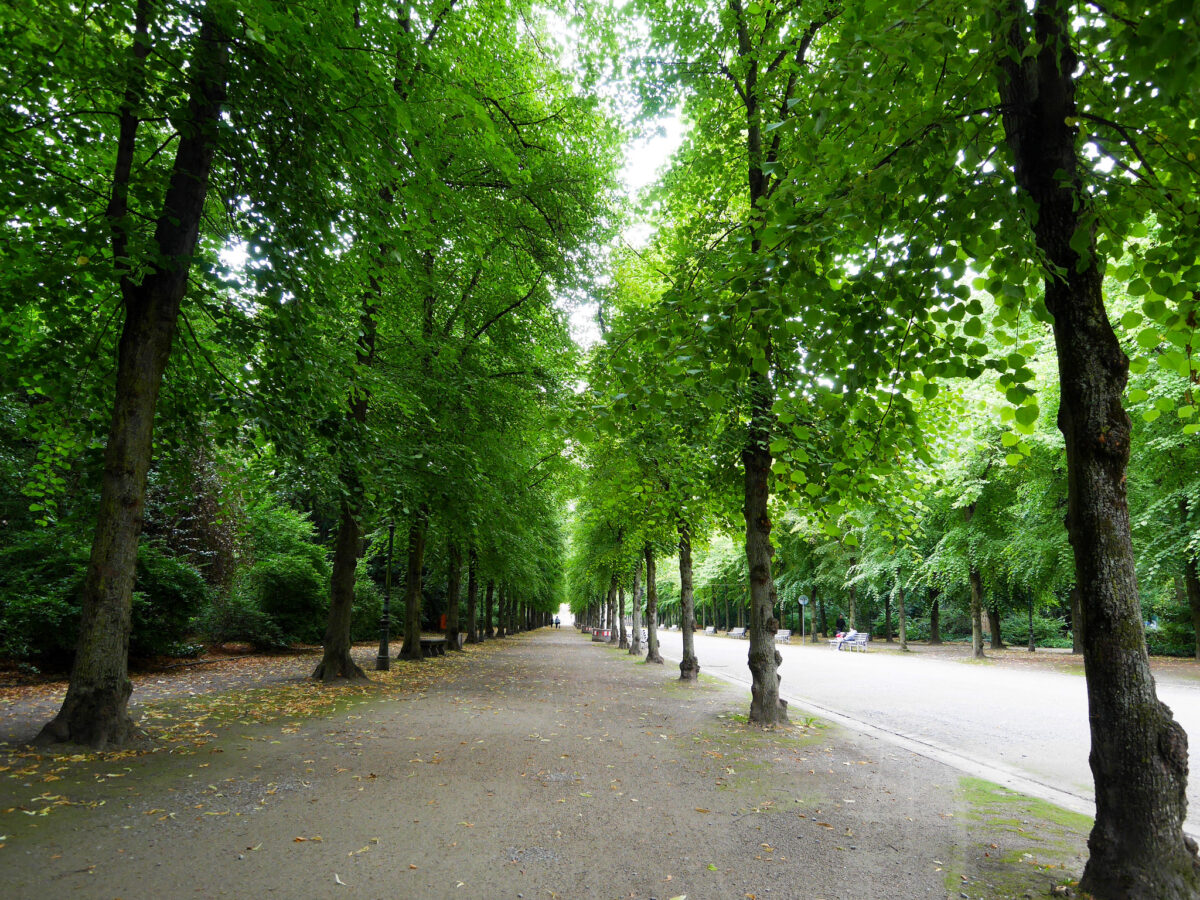 Dusseldorf giardini