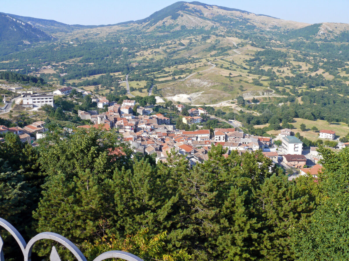 Sannio petraroja