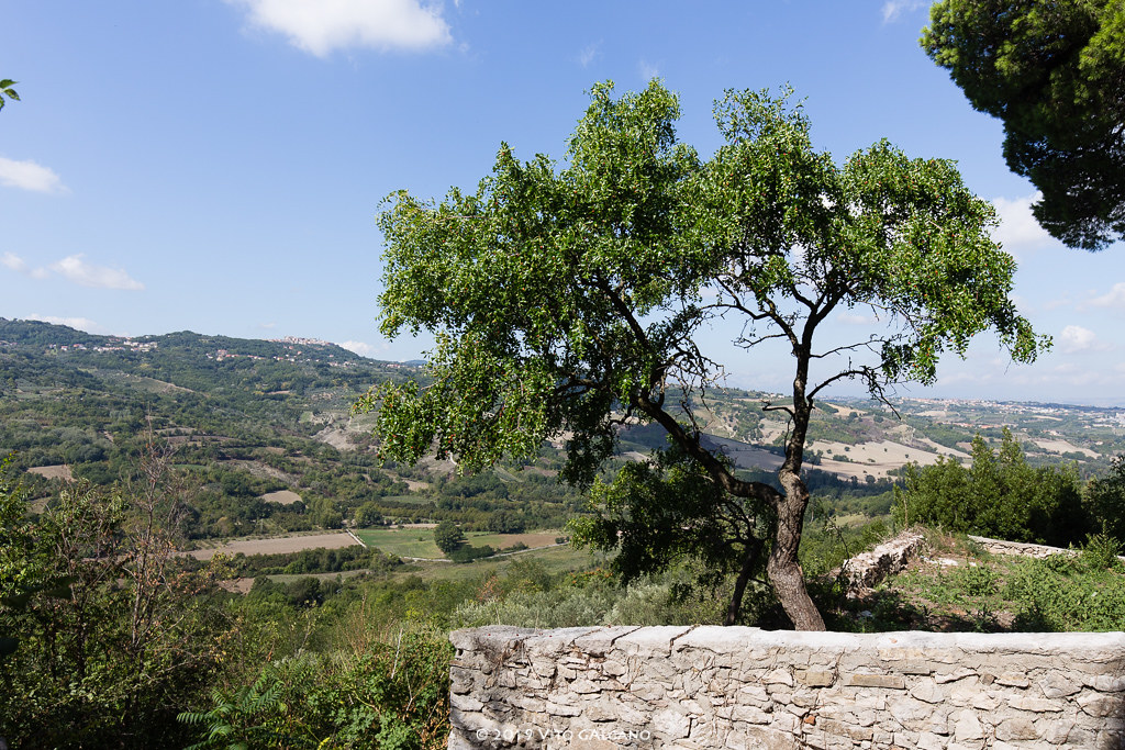 borghi del vino taurasi