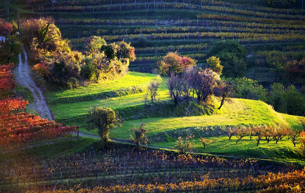 Galleria foto '5 Cammini d’Italia per scoprire in modo inedito il nostro Paese!' - foto 2