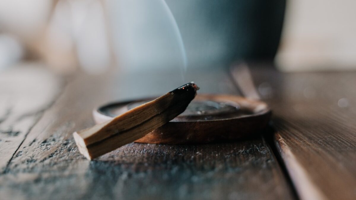 5 Profumi al Palo Santo che donano energia e benessere. Da provare!