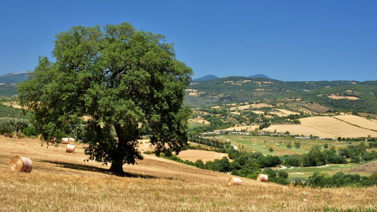 5 imperdibili Borghi della Maremma da visitare subito