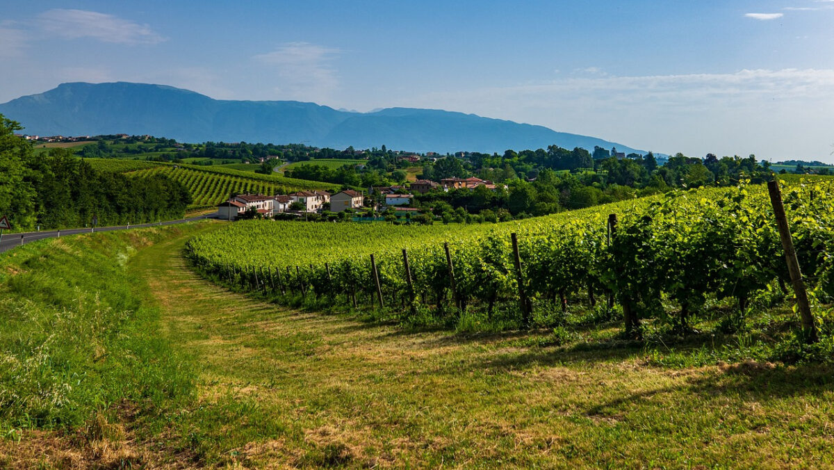 Le Colline del Prosecco, un viaggio in 4 tappe tra Borghi e vigneti