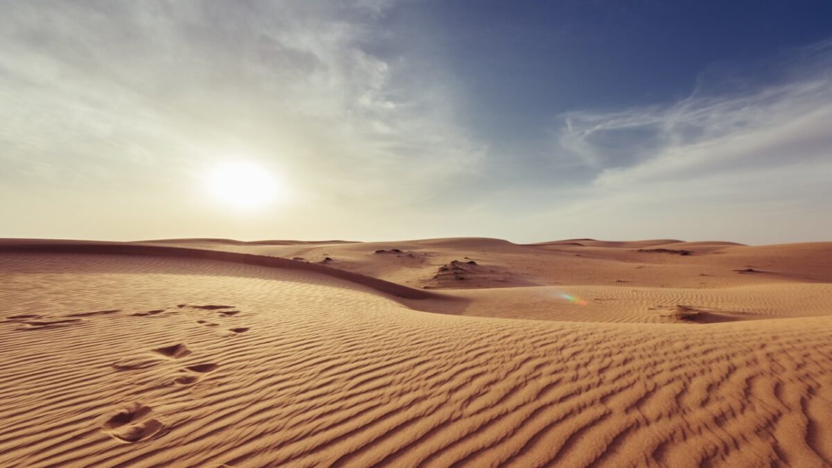 Un viaggio olfattivo nel Deserto: 5 fragranze che ci trasportano tra le dune dorate