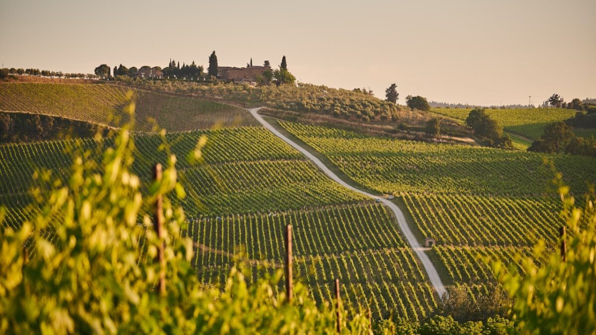 Il Chianti più Esclusivo lo trovi in questi luoghi da sogno!