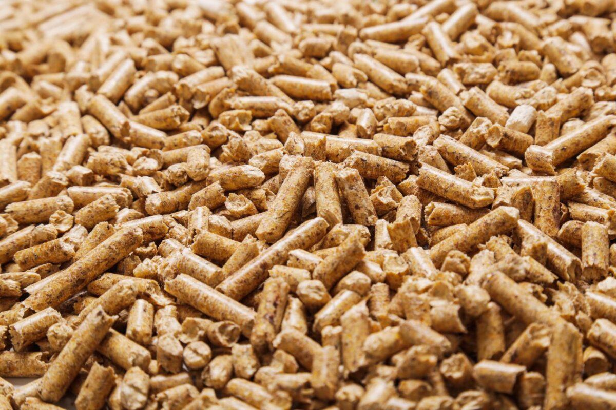 Galleria foto 'Pellet, acquista ora e risparmia d’Inverno: 3 buoni motivo per cogliere l’occasione subito!' - foto 2