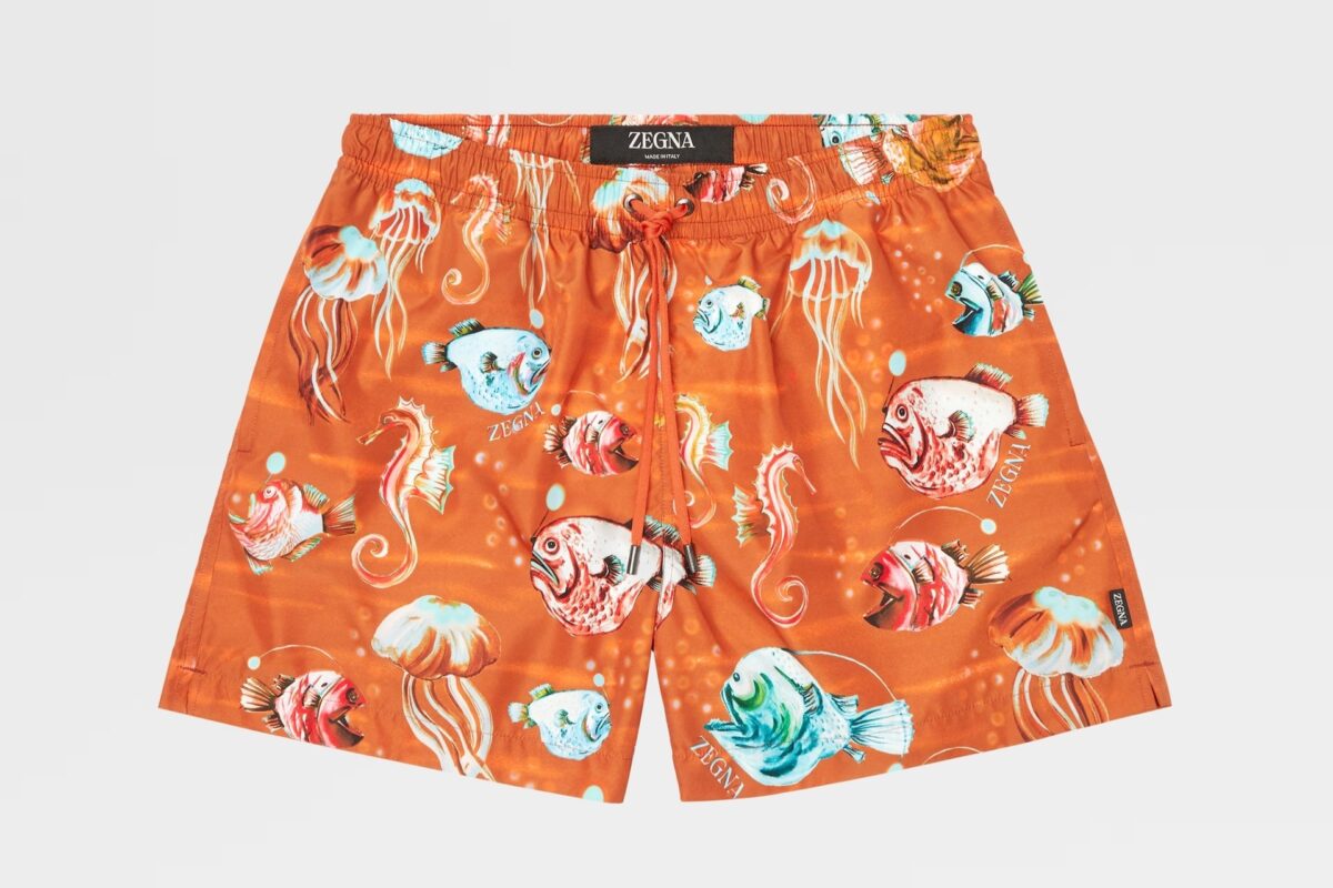 Galleria foto 'Zegna Summer: 7 Capi e Accessori da Uomo davvero imperdibili!' - foto 4