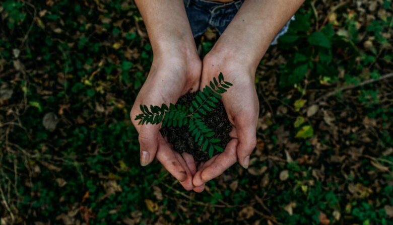Architettura Sostenibile: 7 mosse per progettare una casa eco-friendly al 100% Architettura Sostenibile: 7 mosse per progettare una casa eco-friendly al 100%