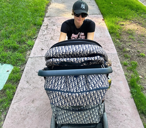 Galleria foto 'Paris Hilton sceglie il passeggino Dior per il figlio: la maternità è extra lusso!' - foto 3