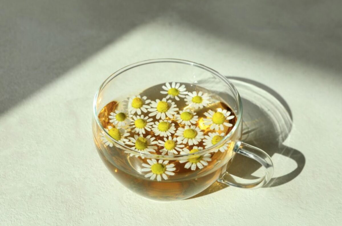 Galleria foto 'Queste 6 Piante fanno bene alla Pelle. Ecco quali sono…' - foto 2