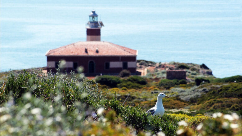 Isola di Giannutri in Primavera: cosa fare tra escursioni, trekking e panorami mozzafiato!