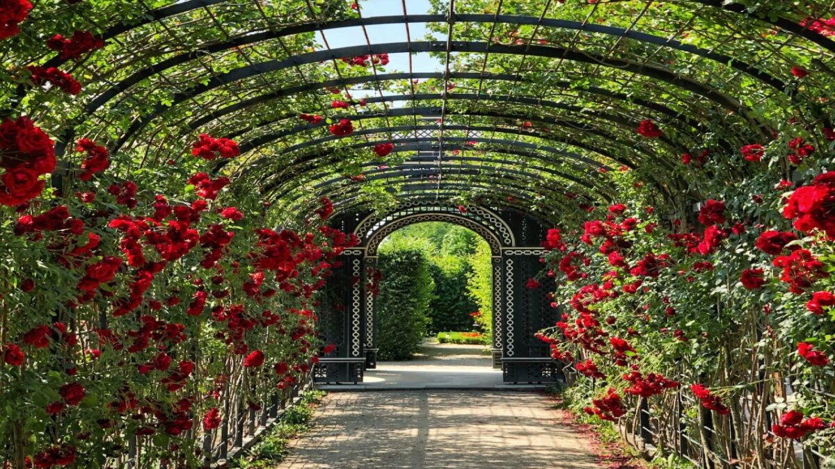 5 inebrianti Profumi ispirati ai Giardini per immergerti nella natura