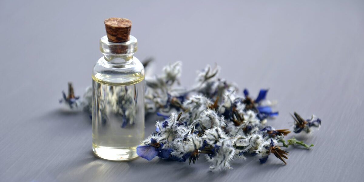 Galleria foto 'Queste 6 Piante fanno bene alla Pelle. Ecco quali sono…' - foto 5