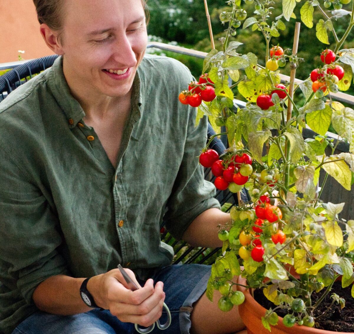 Galleria foto 'Orto sul tuo Balcone, come realizzarlo in poche semplici mosse!' - foto 3