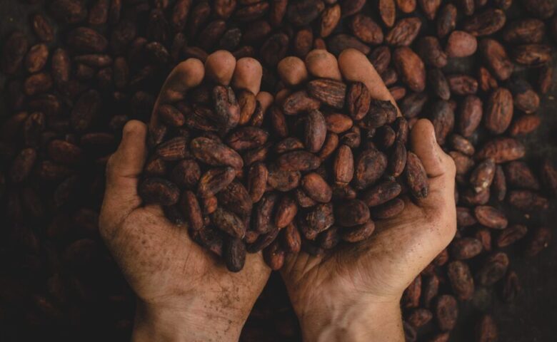 cacao