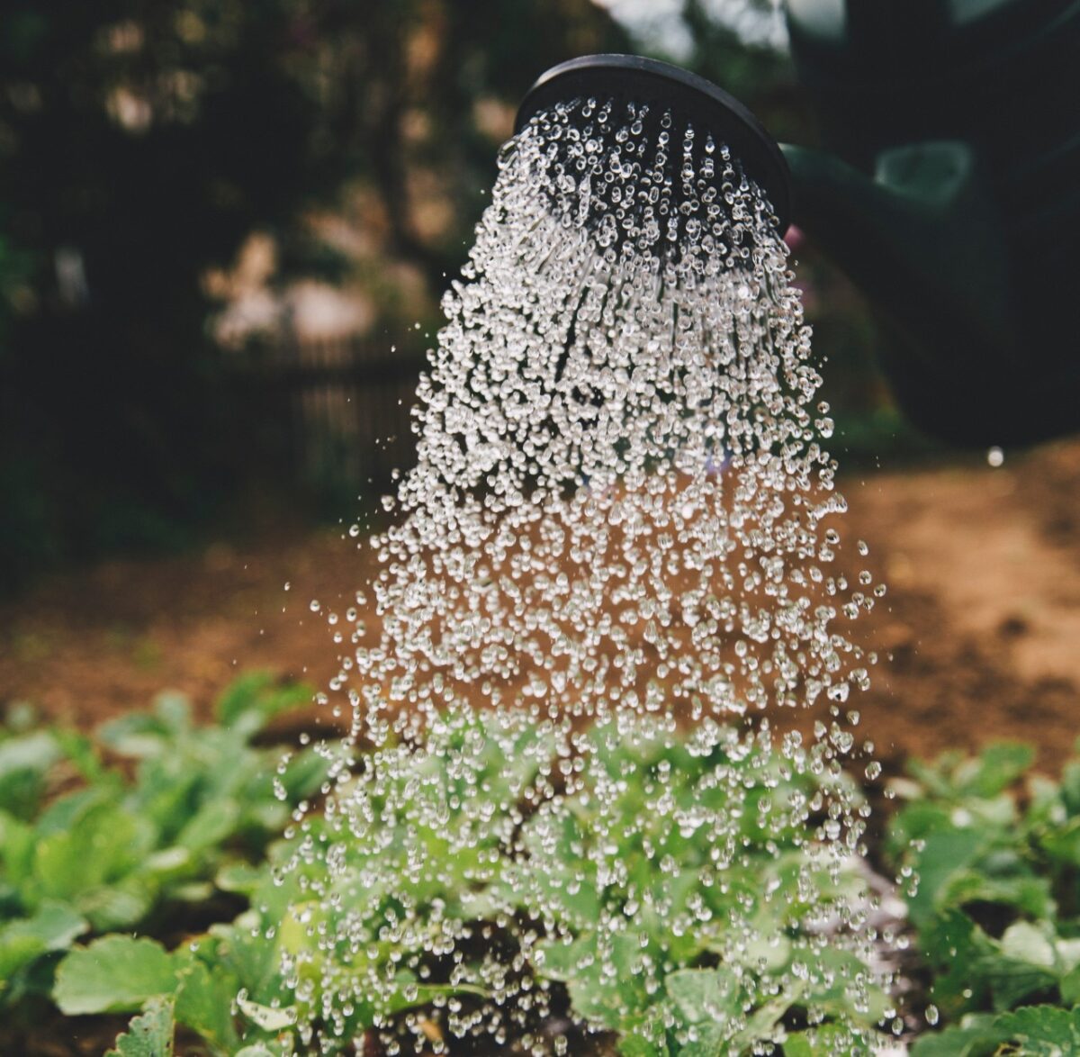 Galleria foto '10 lavori di Manutenzione domestica da fare assolutamente in Estate' - foto 2