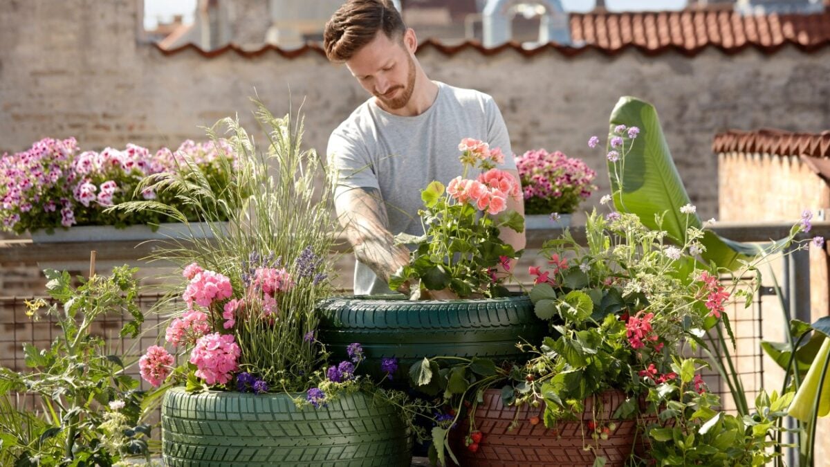 Cura del Giardino: 10 Accessori essenziali per chi ha il Pollice Verde