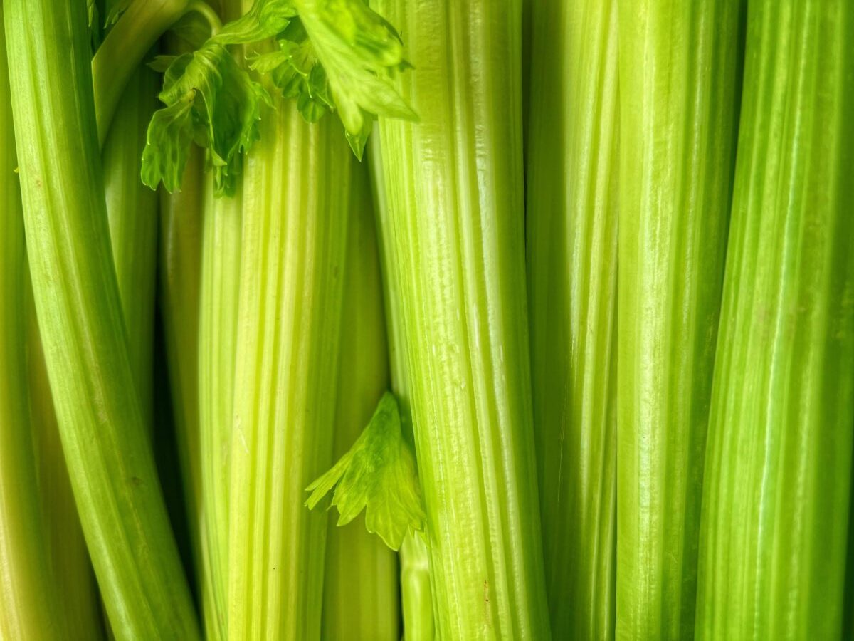 Galleria foto 'Sedano, 7 proprietà per Pelle e Capelli che ti stupiranno!' - foto 1