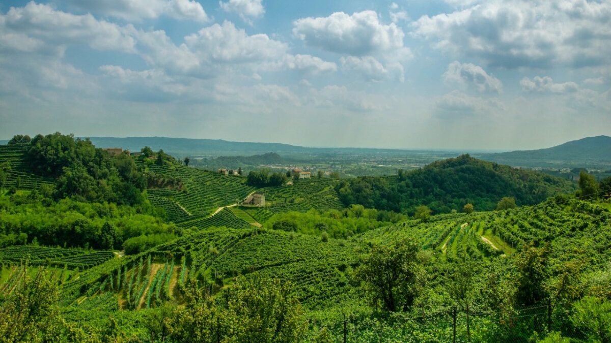 Le colline del Prosecco: 4 mete da visitare tra degustazioni e relax