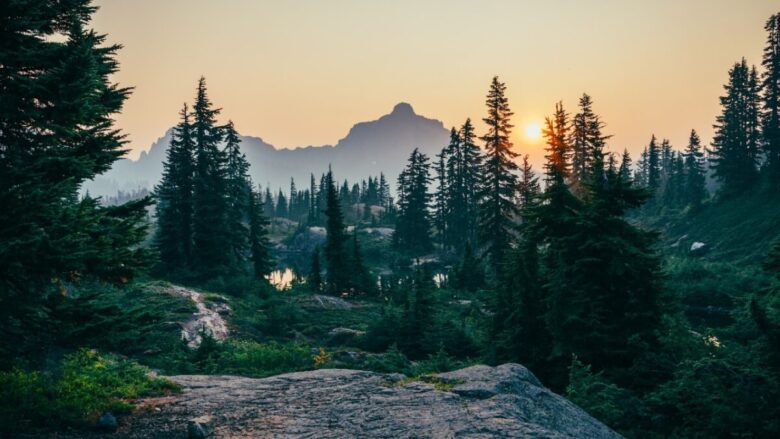 Profumi di montagna: 5 fragranze aromatiche e legnose che sanno di fresco
