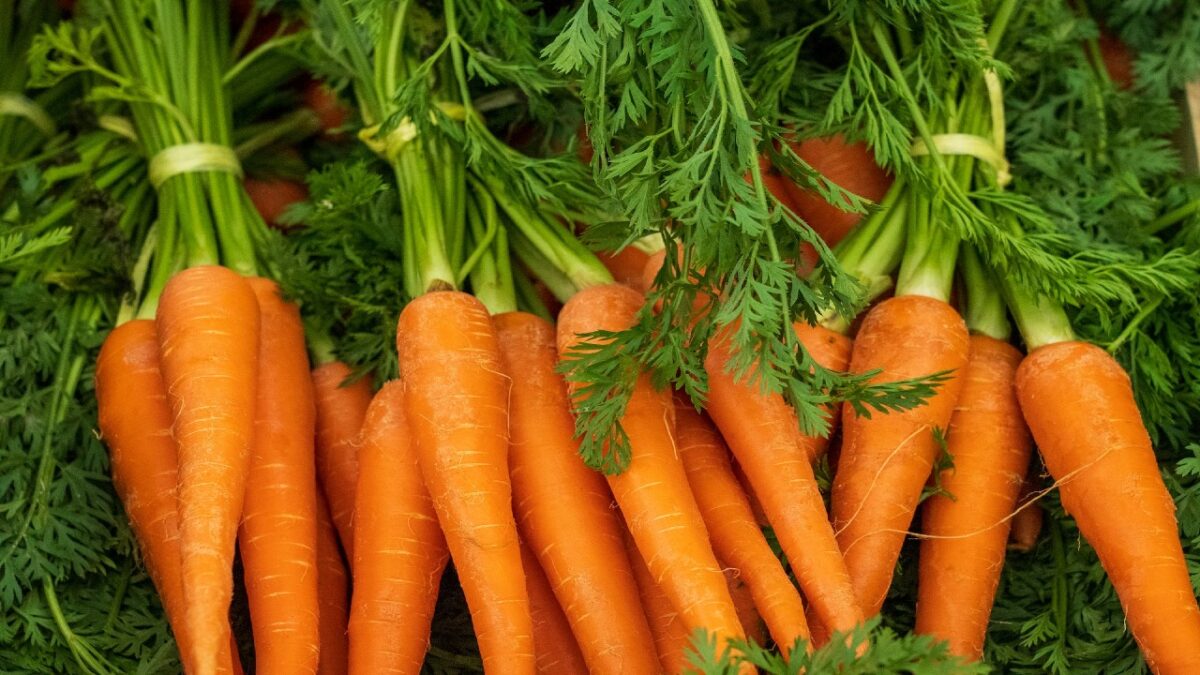 Carota, elisir di Bellezza: proprietà e benefici per la Pelle