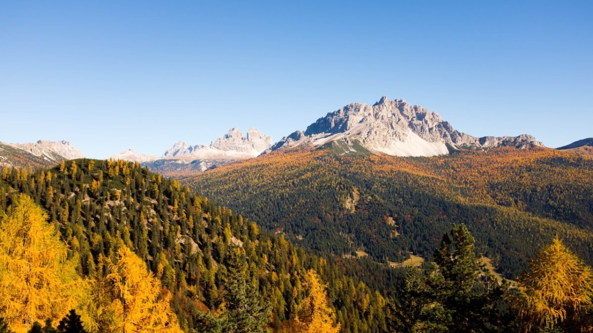 Treno del Foliage, un’esperienza unica che ti lascerà senza fiato. Scopri di più…