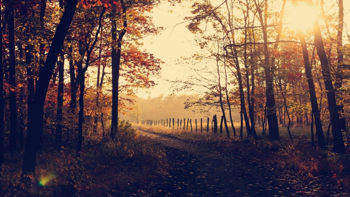 Questo è il Borgo più bello d’Italia in autunno. Un posto unico!