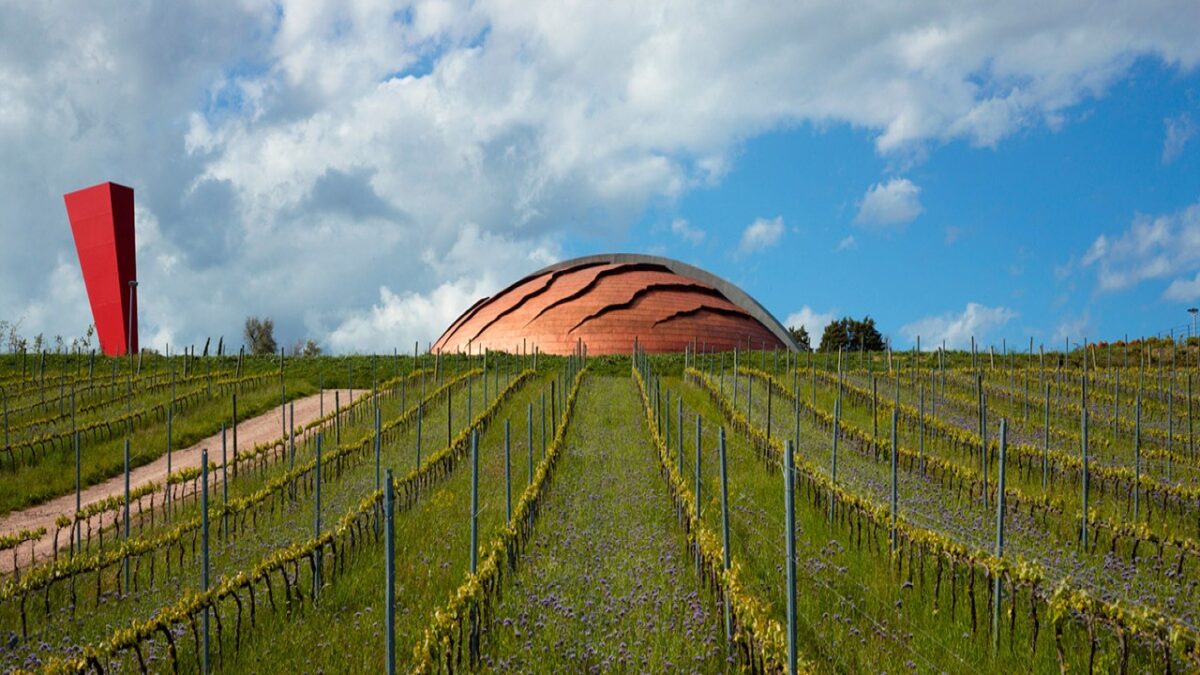Cantine di Design: 3 location affascinanti per una degustazione esclusiva
