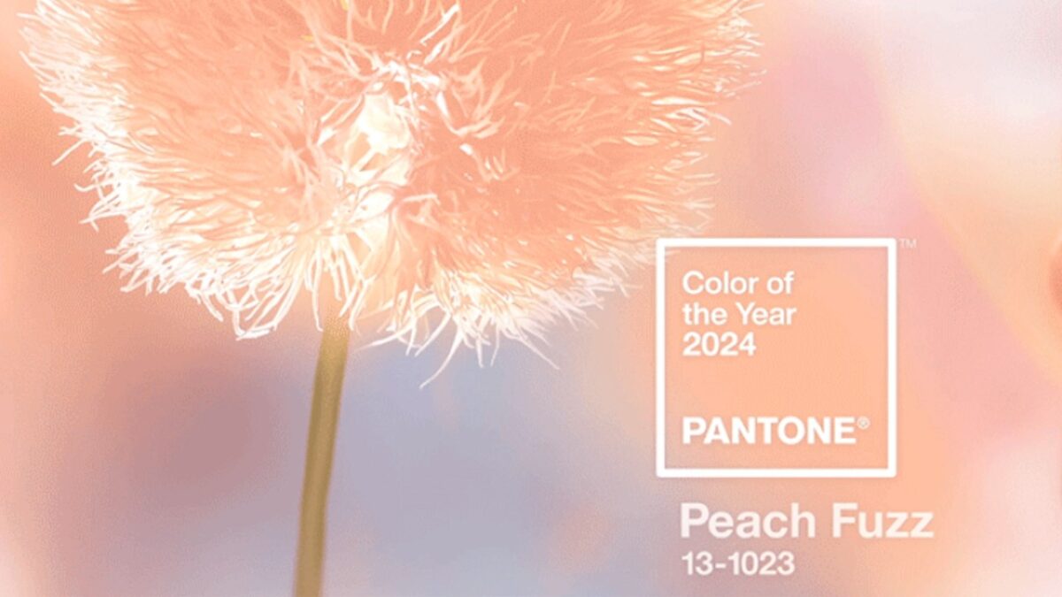 Mobili e Complementi d’arredo nel Pantone Top 2024: Peach Fuzz!