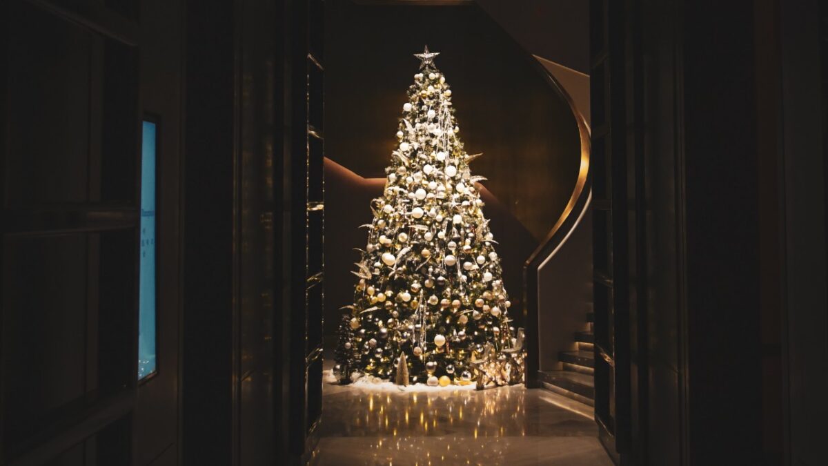 Come decorare l’Albero di Natale: le Idee creative più belle assolutamente da copiare