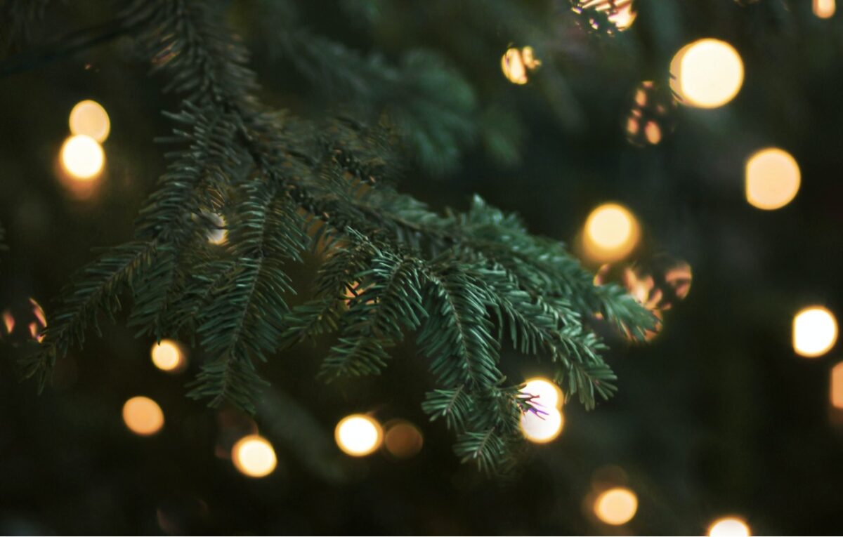 Galleria foto 'Come decorare l’Albero di Natale: le Idee creative più belle assolutamente da copiare' - foto 2