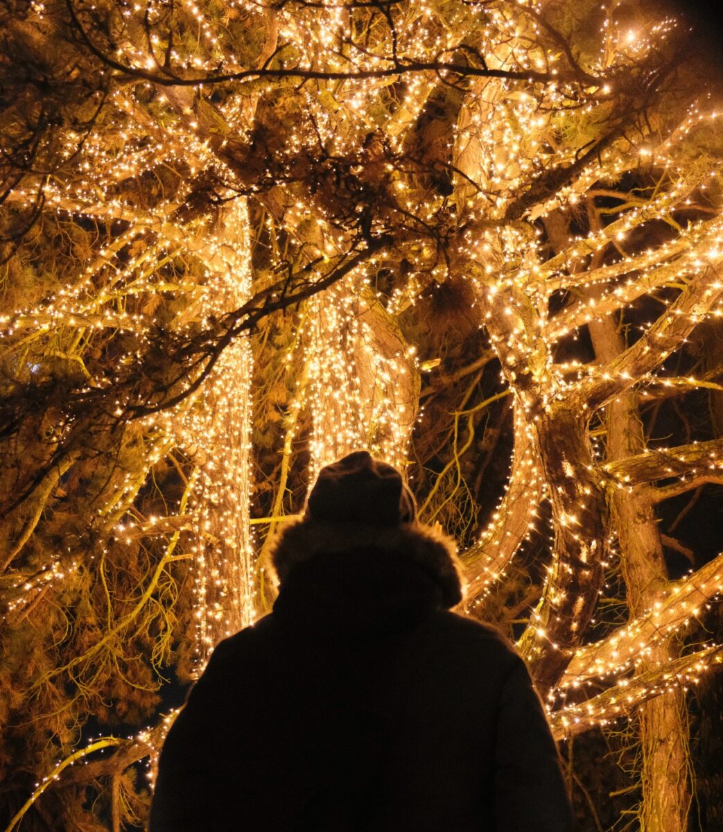 Galleria foto 'Decorazioni di Natale da Esterno: le idee creative assolutamente da copiare' - foto 3