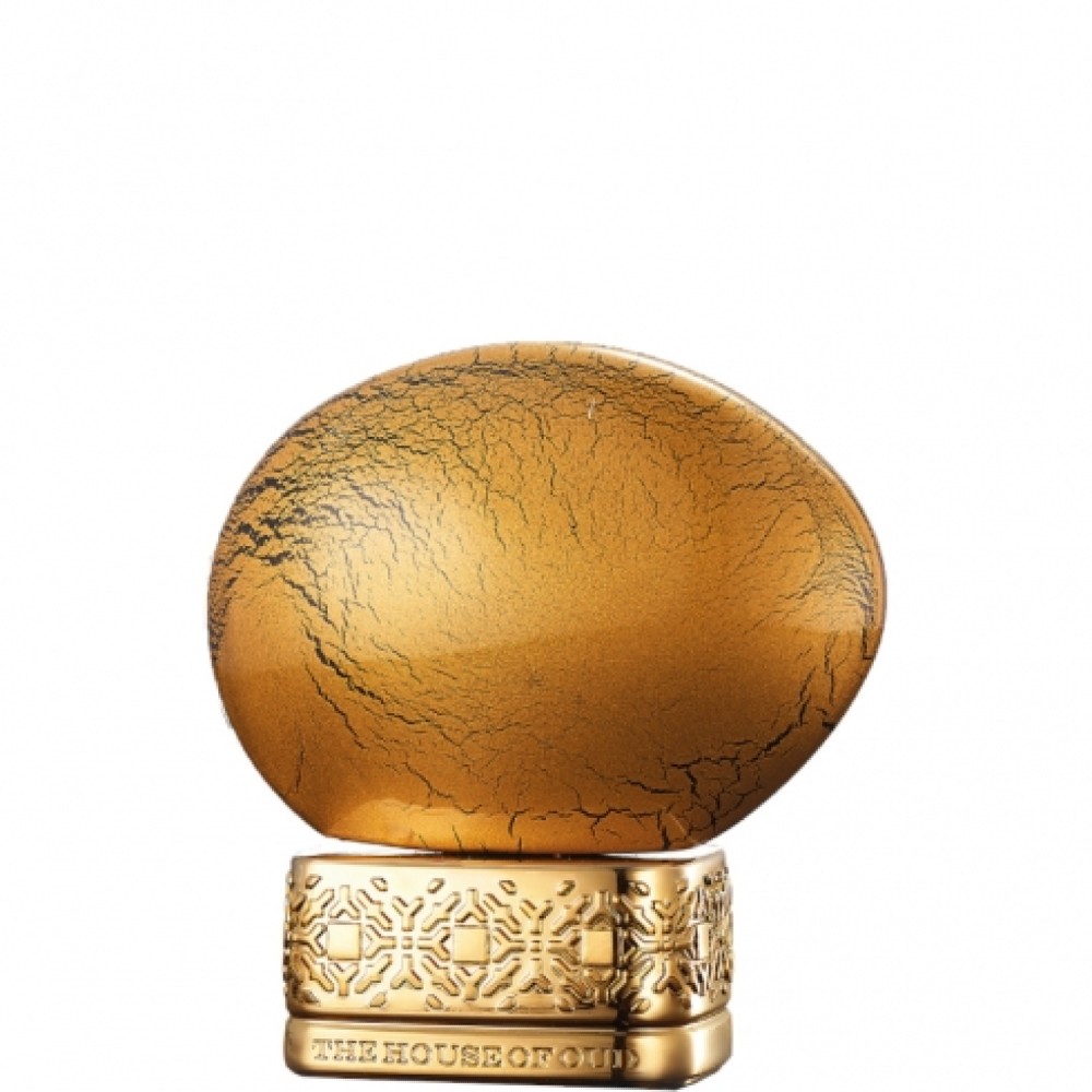 Galleria foto 'Sanremo 2024 e i suoi Profumi: una fragranza per ogni Cantante!' - foto 8