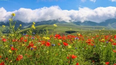 Un Borgo segreto tra le colline umbre, guarda che incanto!