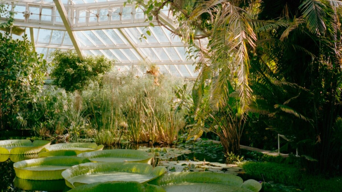 Gli orti botanici più belli d’Italia: 3 giardini da visitare aspettando la primavera