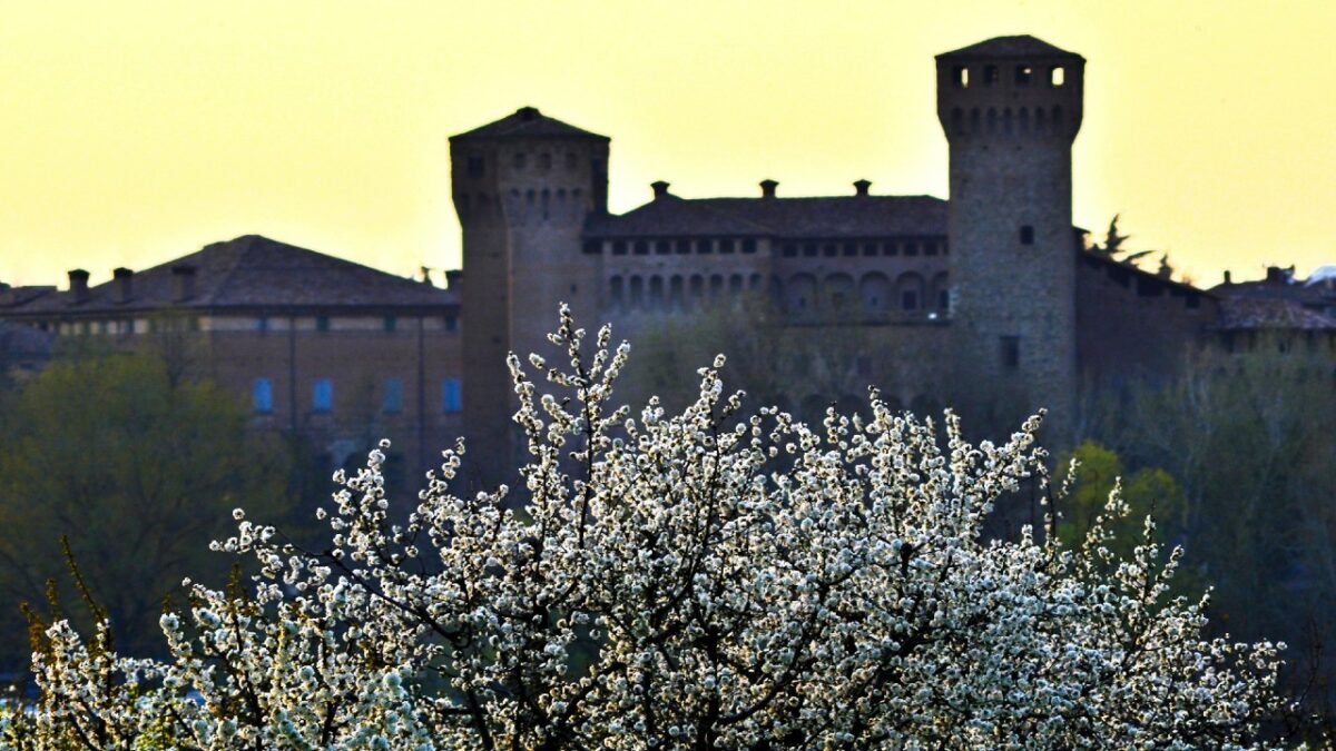 Borghi delle Fioriture: 5 luoghi ricchi di fascino e colore