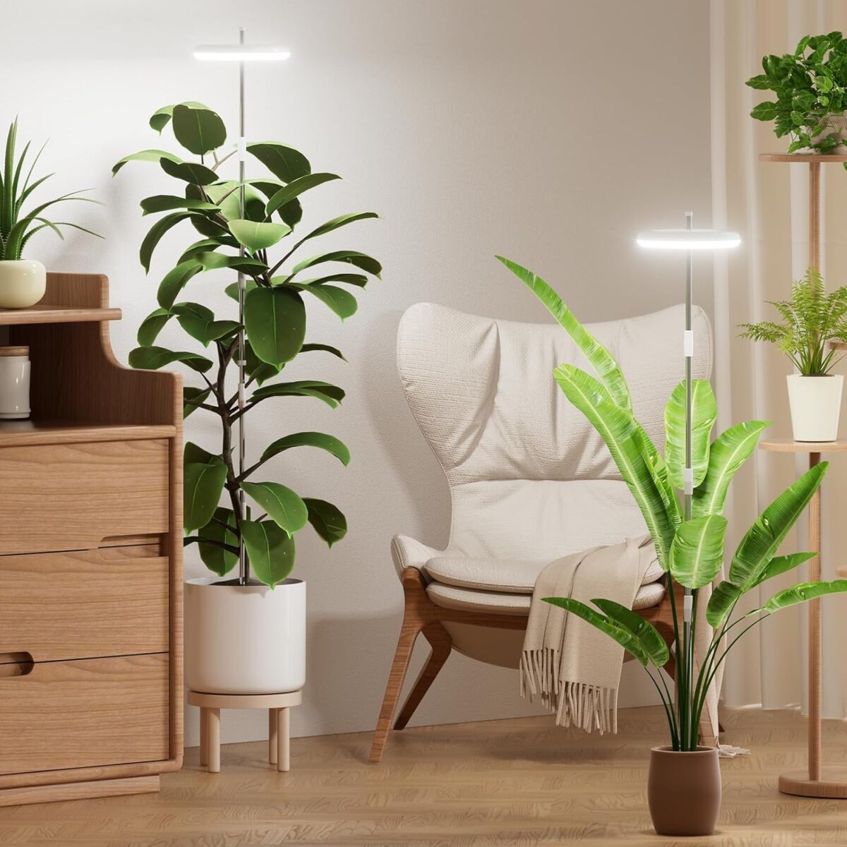 Galleria foto 'La soluzione per far sopravvivere le Piante anche nelle zone meno luminose della casa è questa!' - foto 4