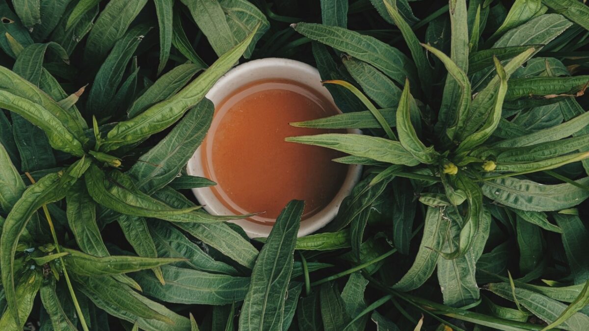 Tè nella Skincare: 5 prodotti da provare subito
