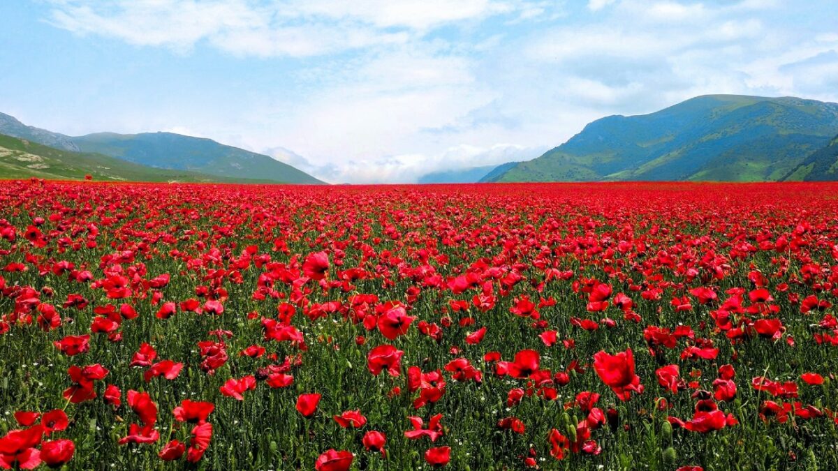 In Primavera questo piccolo Borgo Abruzzese offre uno spettacolo davvero eccezionale!