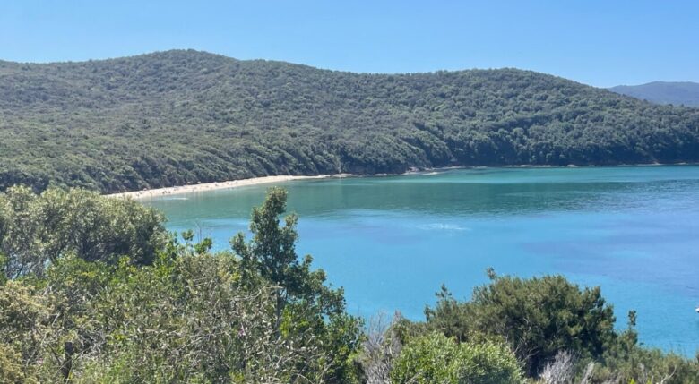 Vista su Cala Martina