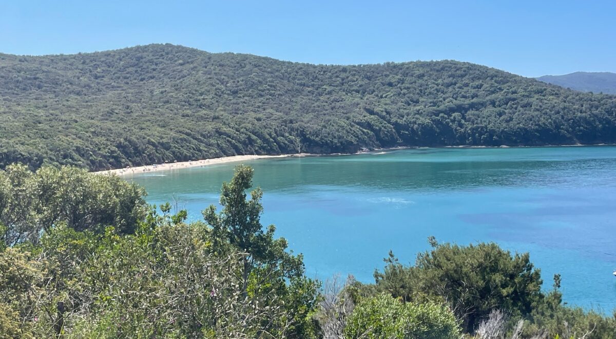 Galleria foto 'Alla scoperta del Golfo di Follonica, tra natura mare e sapori nella Maremma Toscana' - foto 4