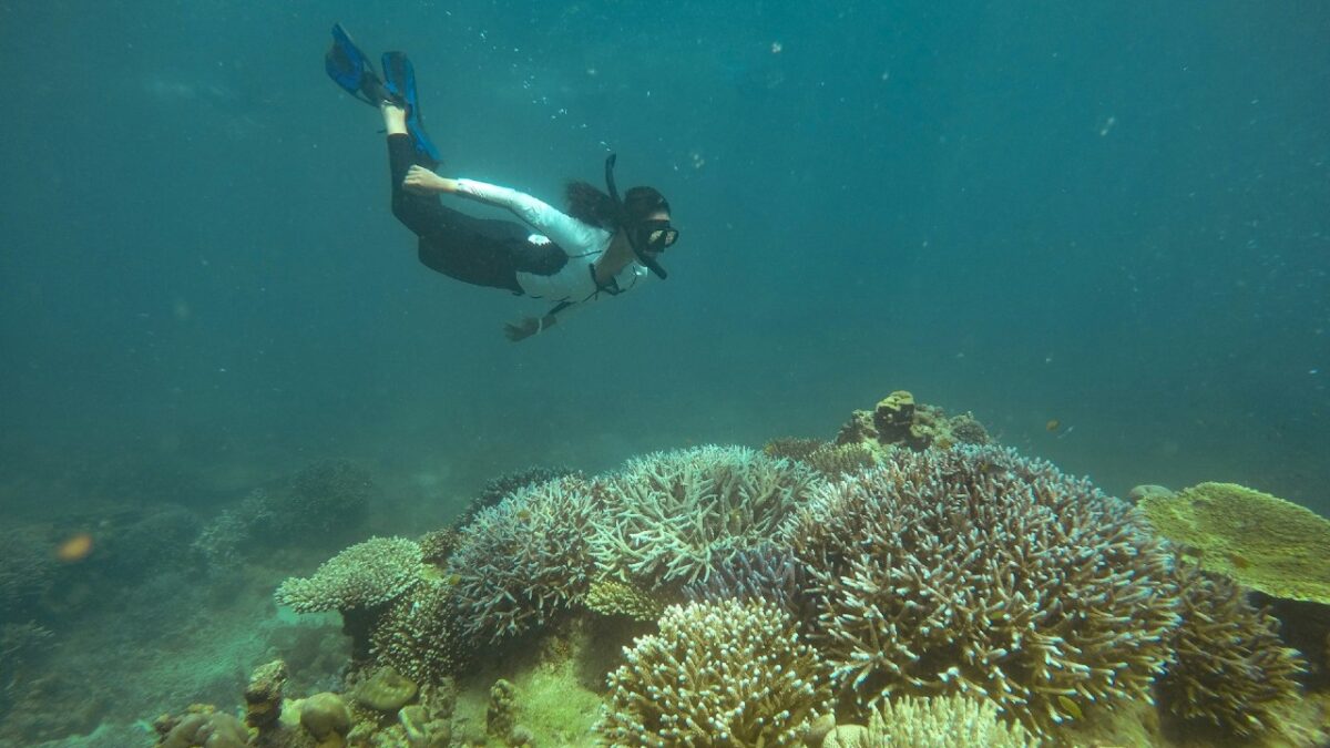 Riserve naturali marine più belle d’Italia: la nostra Classifica